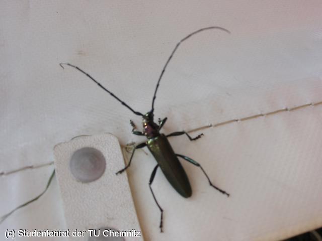 640x480/img_1319.jpg