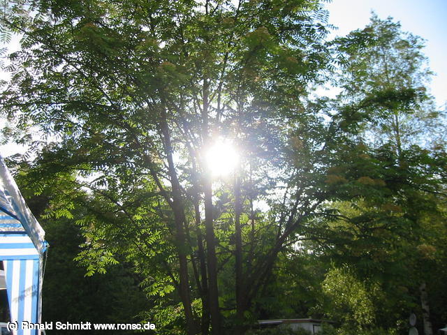 640x480/IMG_8008.JPG