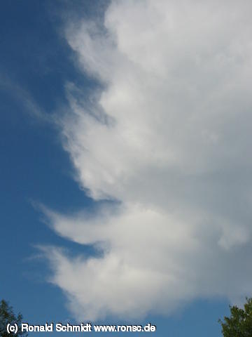 640x480/IMG_8009.JPG