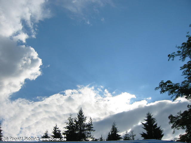 640x480/IMG_8010.JPG