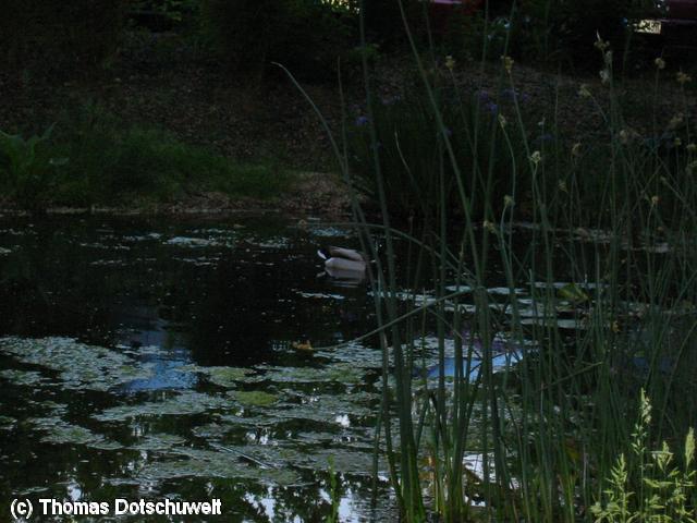 640x480/100-0069_IMG.JPG
