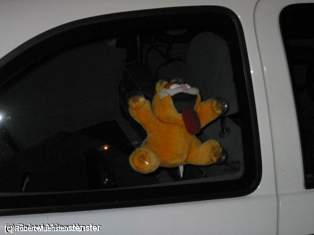640x480/155_5594_IMG.JPG