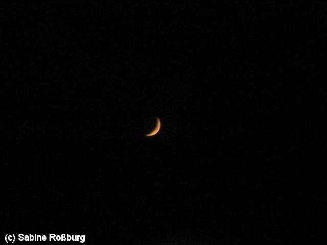 640x480/109_0977.JPG