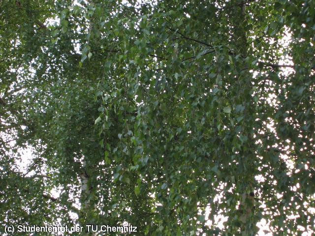 640x480/img_0070.jpg