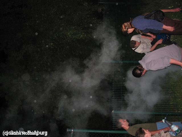 640x480/111_1158.jpg