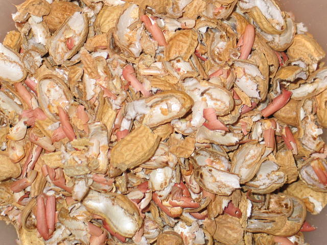 640x480/img_9458.jpg