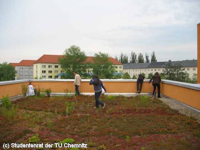640x480/IMG_5033.JPG