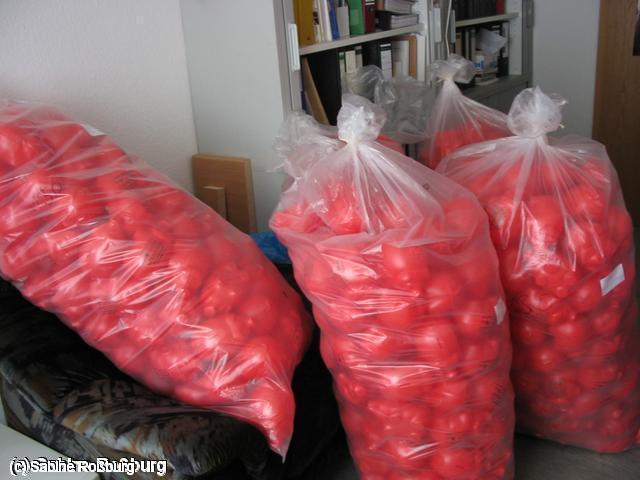 640x480/IMG_5095.JPG
