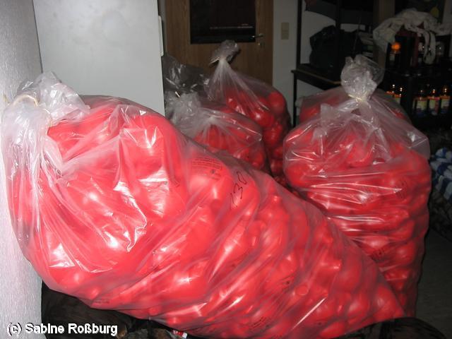 640x480/IMG_5100.JPG