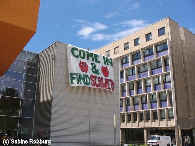 640x480/IMG_5146.JPG