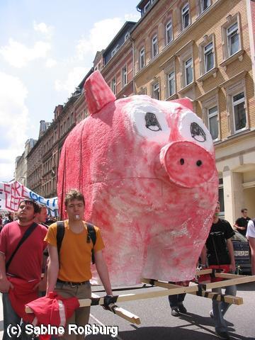640x480/IMG_5224.JPG