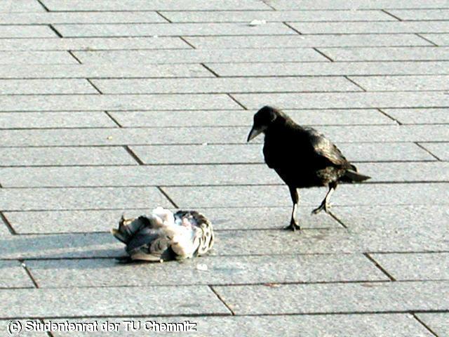 640x480/DSCN5849.JPG