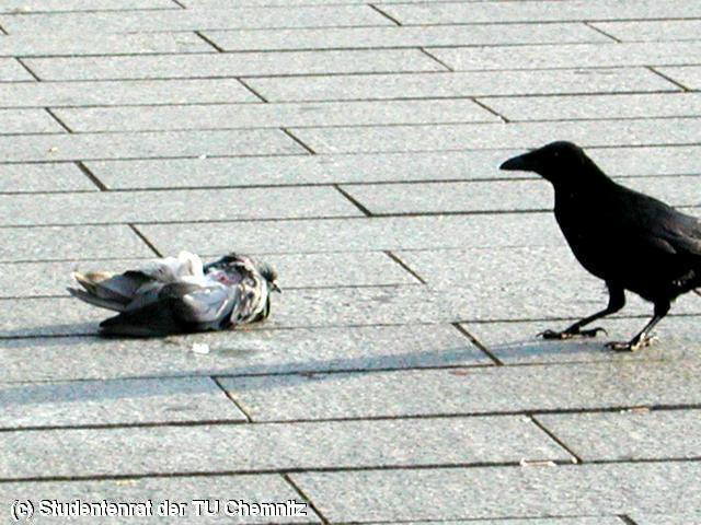 640x480/DSCN5850.JPG