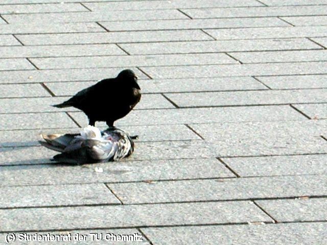 640x480/DSCN5851.JPG