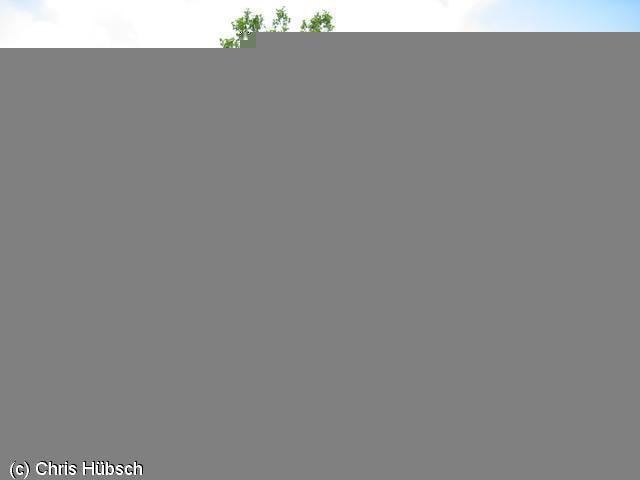 640x480/img_3415.jpg