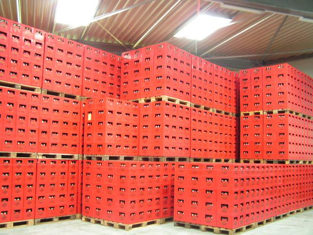640x480/pic11.JPG