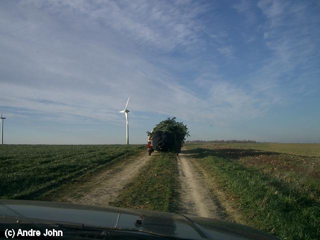640x480/IMGP1084.JPG