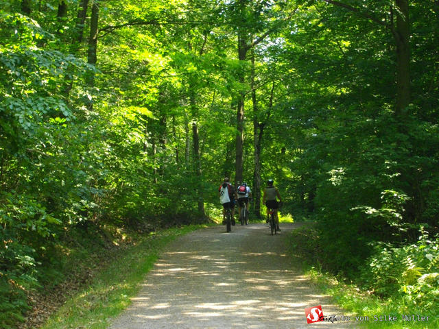 640x480/IMGP2817.JPG