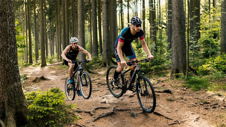 Zwei Mountainbiker im Rabensteiner Wald.
