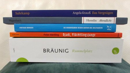 Fünf Bücher von Chemnitzer Autoren liegen aufeinandergestapelt auf einem Tisch.
