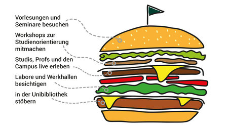 Grafik zeigt einen Burger als Symbolbild für sich ergänzende Bestandteile des Schnupperstudiums.