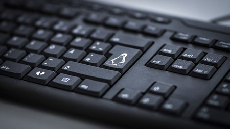 Tastatur eines Computers, auf einer Taste ist ein Pinguin abgebildet.