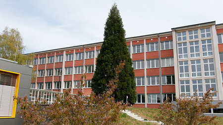 Ein Baum steht vor einem Gebäude.