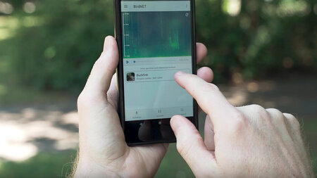 Grafisches Interface der Vogelstimmen-App.