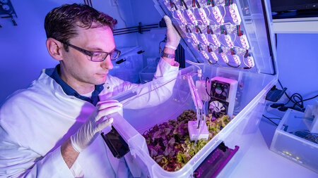 A man in a white coat looks into a lighted container in a lab where plants are thriving.