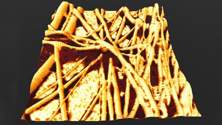 Graphic of collagen fibrils