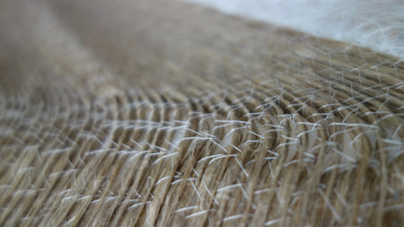 Fibers are shown in close up perspective.