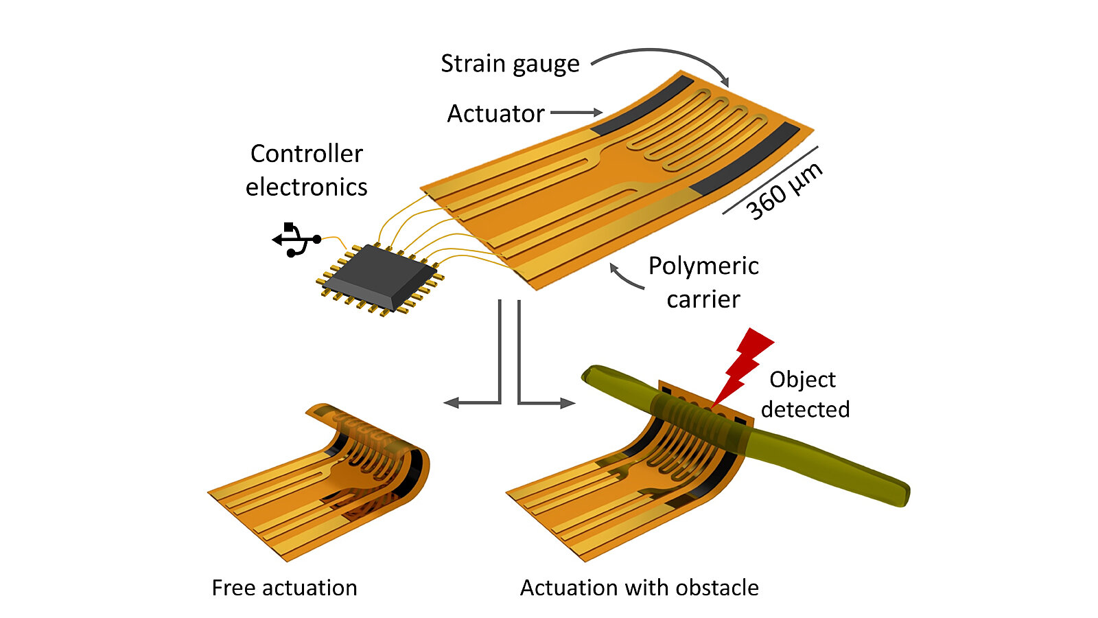 Graphic explaining a reshapable microelectronic device