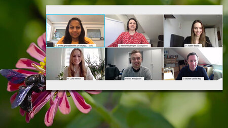 Graphic showing a video conference with four women and two men over a photo of a bee and a flower.