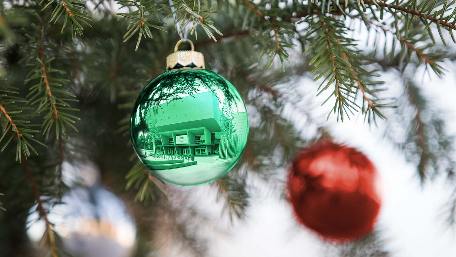 Weihnachtskugeln, in der sich ein Gebäude spiegelt, hängen an einem Nadelbaum.