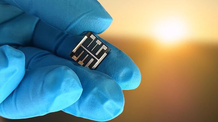 A hand in gloves holds a organic solar cell.