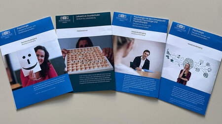 Vier Flyer zu Studiengängen liegen nebeneinander.