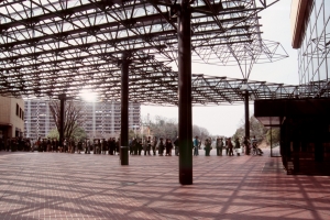 T-CD060_29.jpg