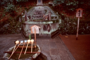 V1-AD274_20.jpg