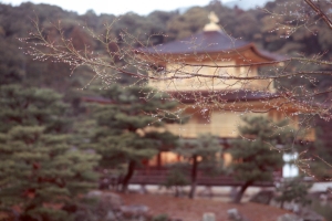V3-AD276_05.jpg
