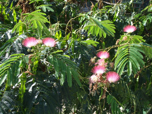 640x480/dscf2109.jpg