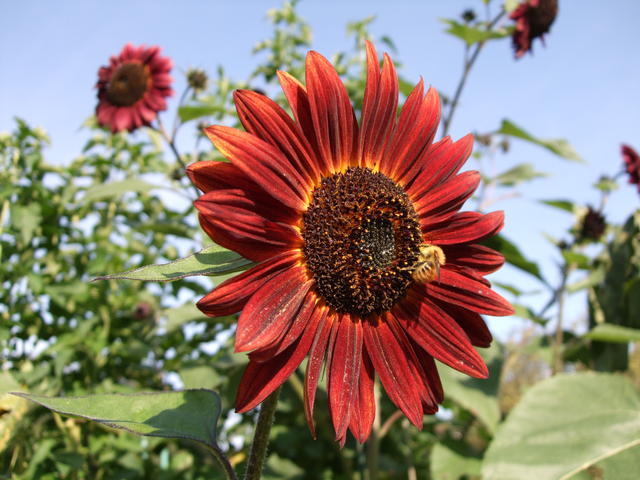640x480/dscf2315.jpg