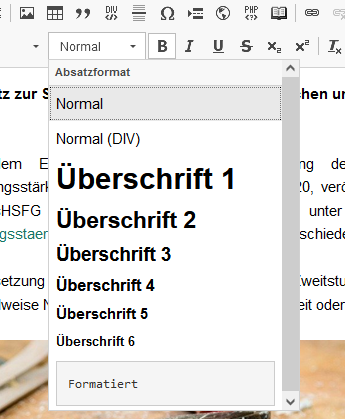 ein Screenshot aus dem WFM Editor mit dem Menüpunkt zur Auswahl des richtigen Überschriftenformates