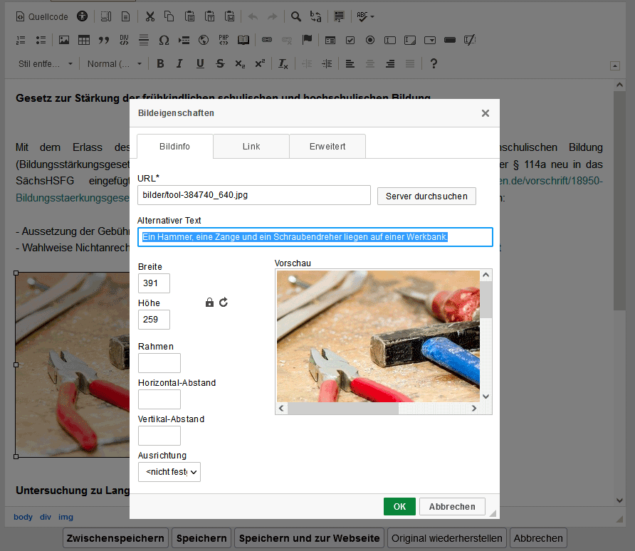 Ein Screenshot aus dem WFM-Editor mit Feld zur Eingabe des Alternativtextes