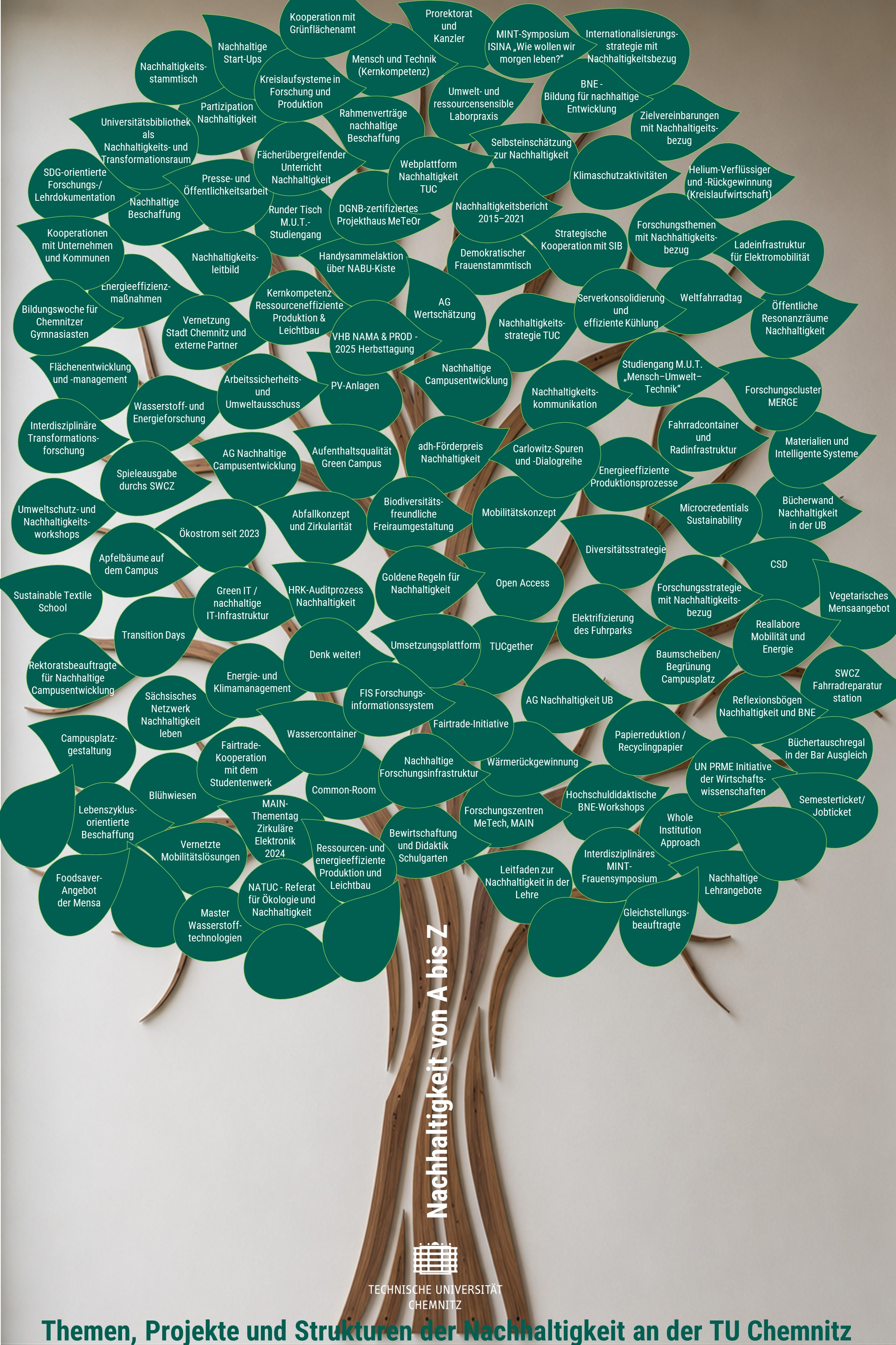 Die Grafik stellt die Nachhaltigkeitsaktivitäten der TU Chemnitz als einen weit verzweigten Baum mit zahlreichen Blättern dar. Der Baum symbolisiert eine lebendige und wachsende Nachhaltigkeitskultur an der Universität. Jedes Blatt steht für ein Thema, ein Projekt, eine Initiative oder eine organisatorische Struktur, die zur nachhaltigen Entwicklung der TU Chemnitz beiträgt. Die Darstellung verdeutlicht, dass die unterschiedlichen Aktivitäten aus Forschung, Lehre, Wissenstransfer und Campusleben miteinander verbunden sind. Sie wirken nicht unabhängig voneinander, sondern ergänzen und stärken sich gegenseitig. Gemeinsam bilden sie ein Netzwerk, das ökologische, soziale und wirtschaftliche Aspekte der Nachhaltigkeit berücksichtigt. Die einzelnen beschrifteten Blätter führen zu weiterführenden Informationen über die jeweiligen Nachhaltigkeitsaktivitäten der TU Chemnitz.