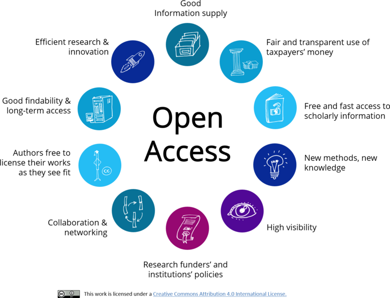 Representation of Open Access