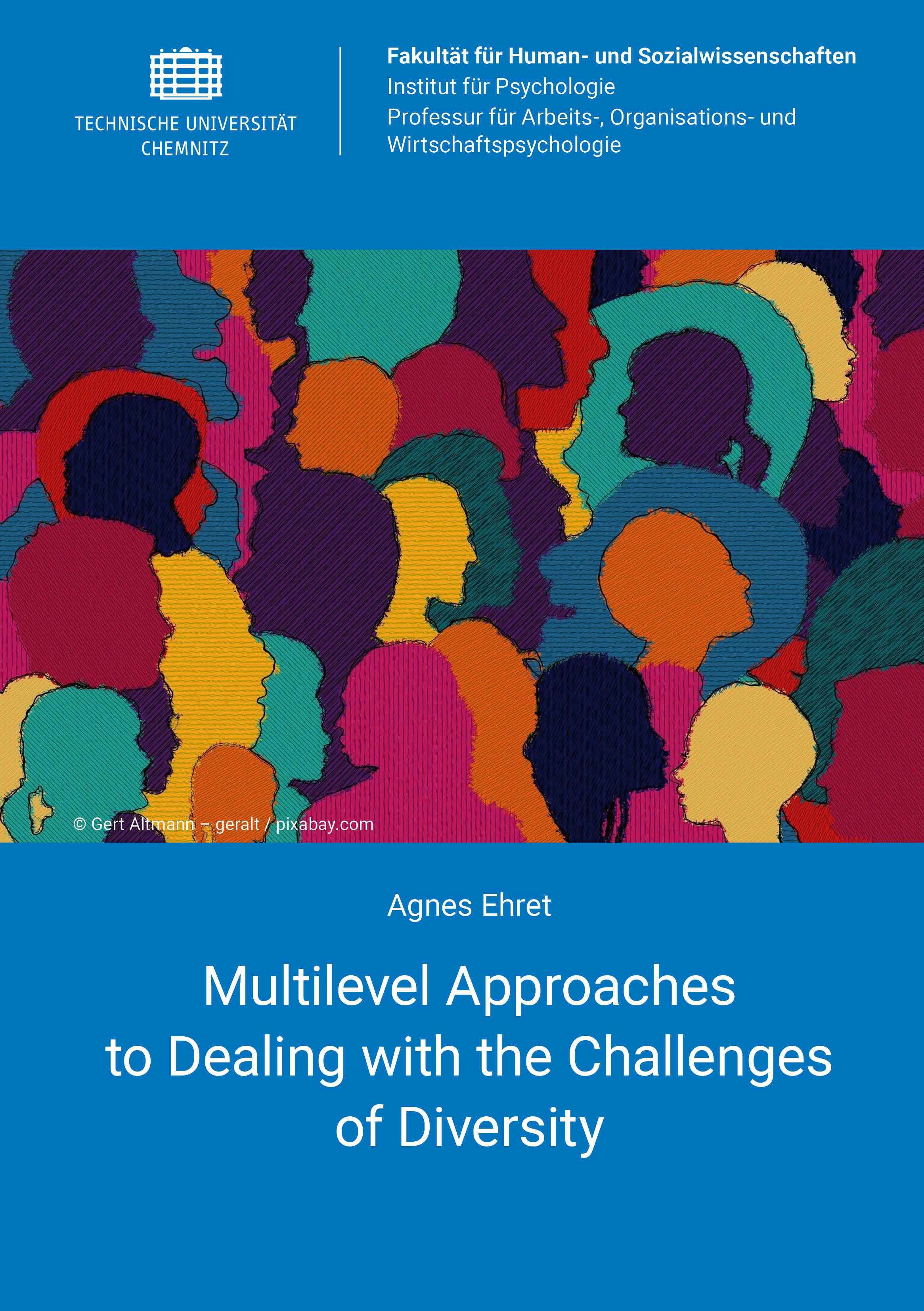 Cover: Multilevel Approaches to Dealing with the Challenges of Diversity