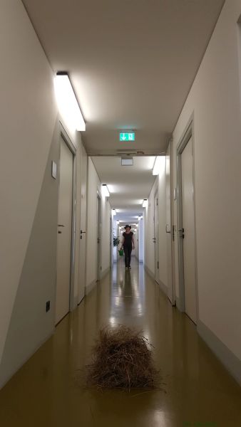 Klick zum Vergrößern