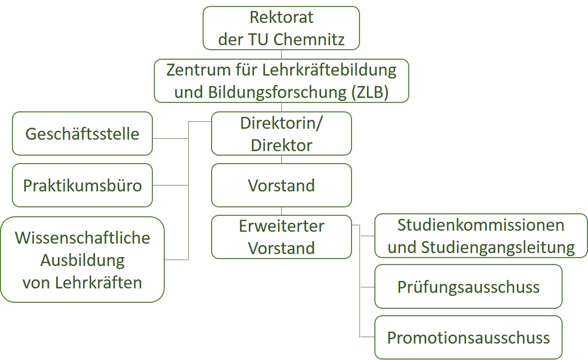 Übersicht der Struktureinheit Zentrum für Lehrerbildung
